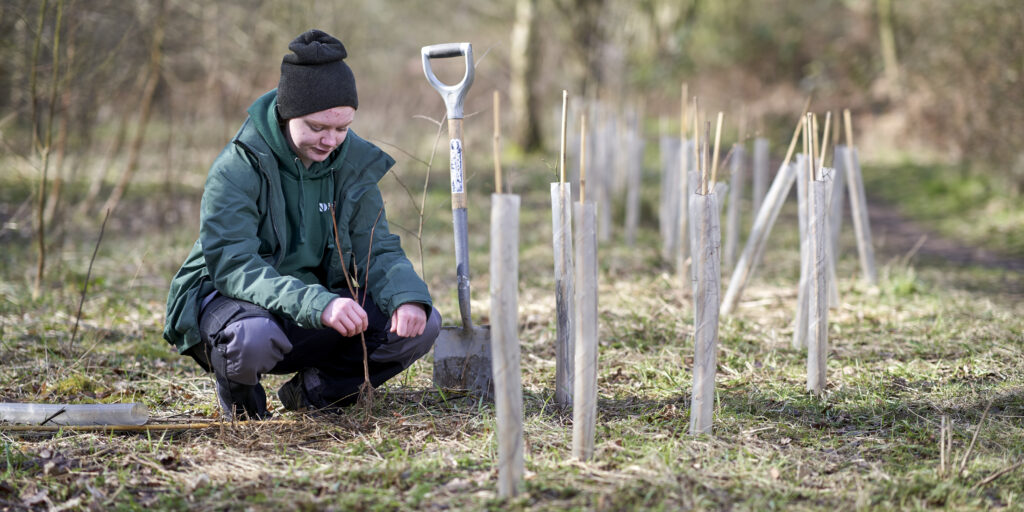 Photo of a student in a woodland environment planting young trees